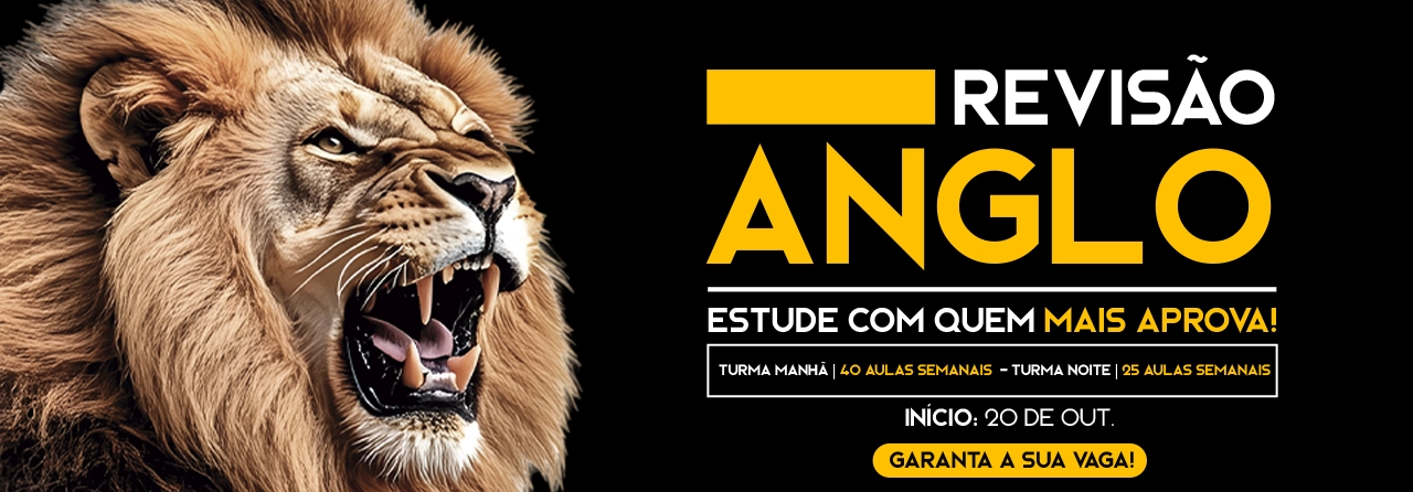 Revisão Anglo